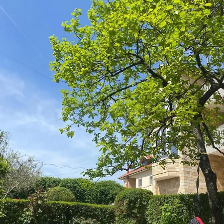 Brahja, Guest house